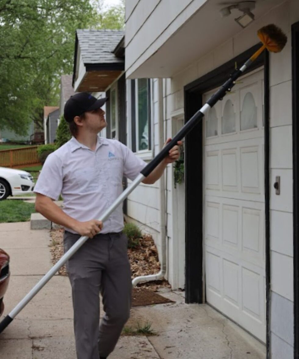 See What Pest Control Services We Offer AIMVO