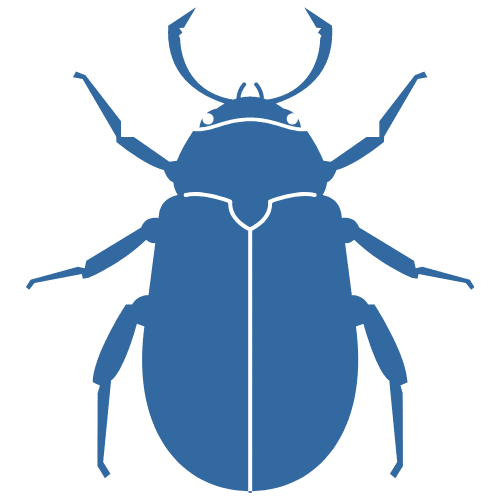 Pest Control for Beetles