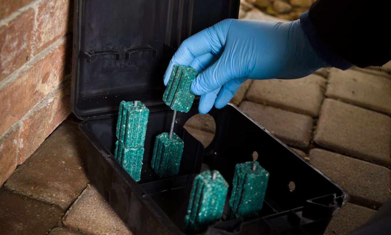 High Quality Pest Control Services in Denver, CO AIMVO