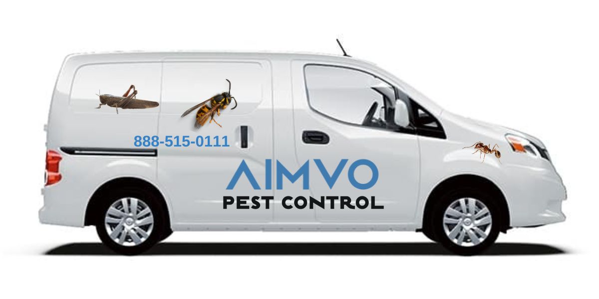 Pest Control Near You
