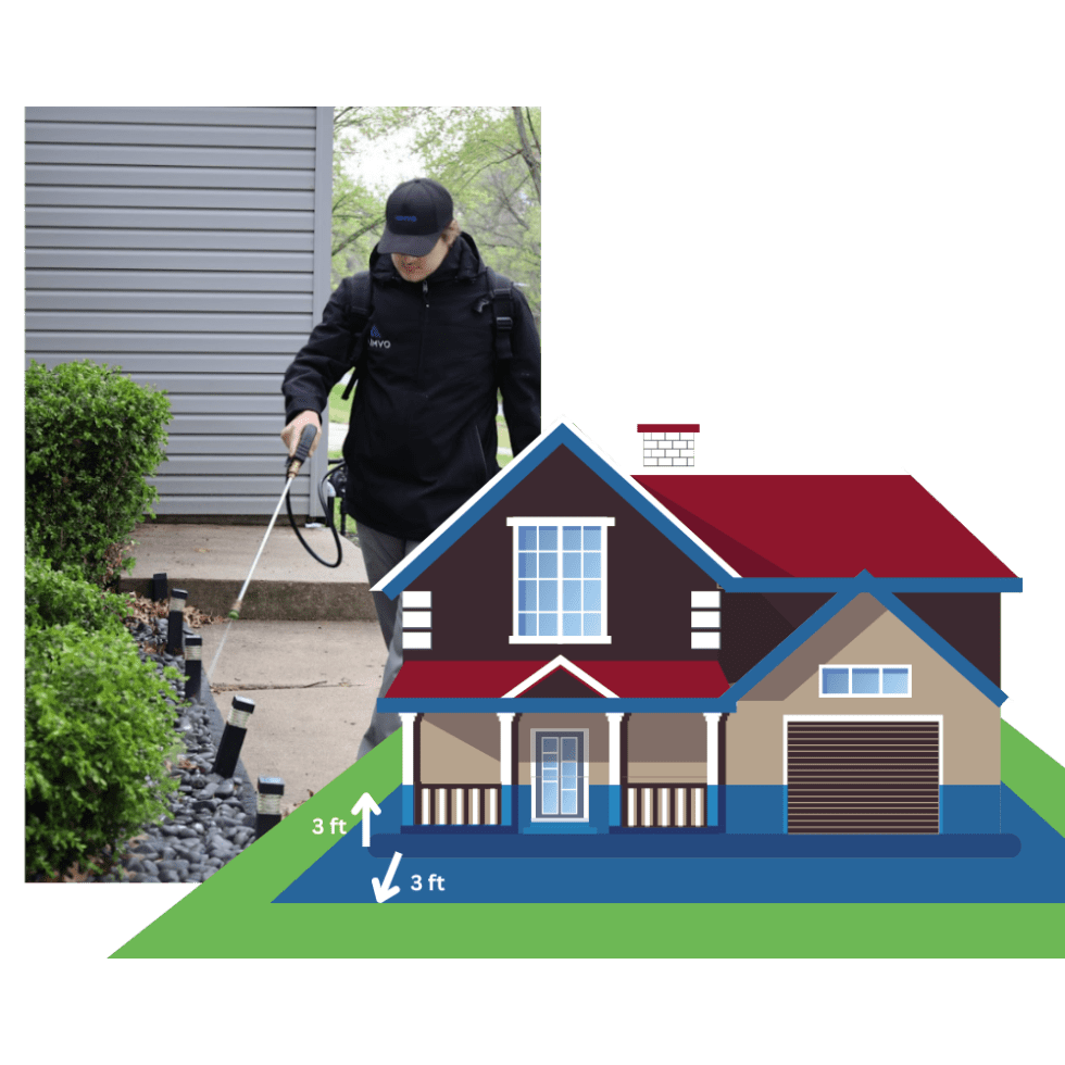 AIMVO Pest Control Treatment AIMVO