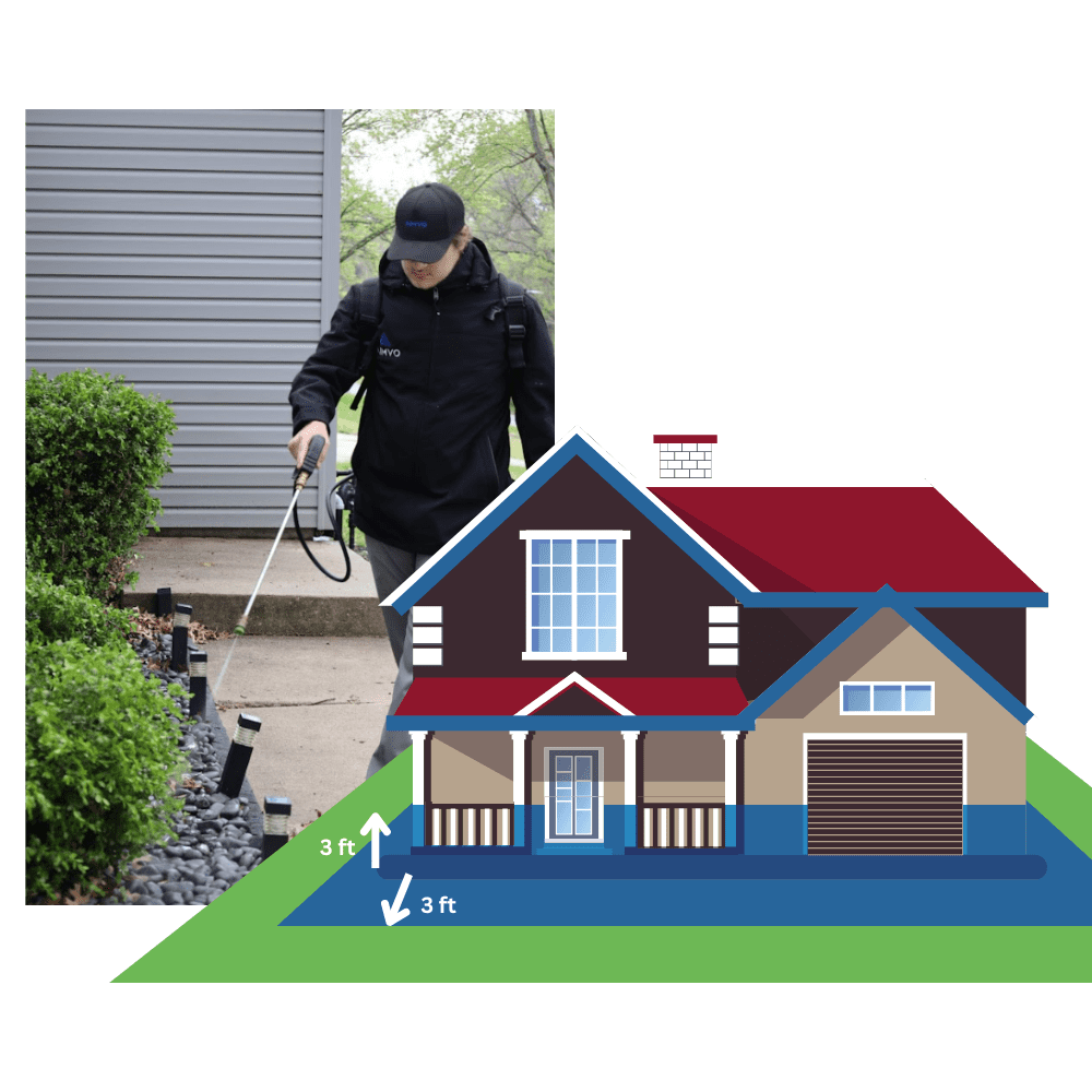 AIMVO Pest Control will create a barrier with a high pressure spray around the entire perimeter of the house. 