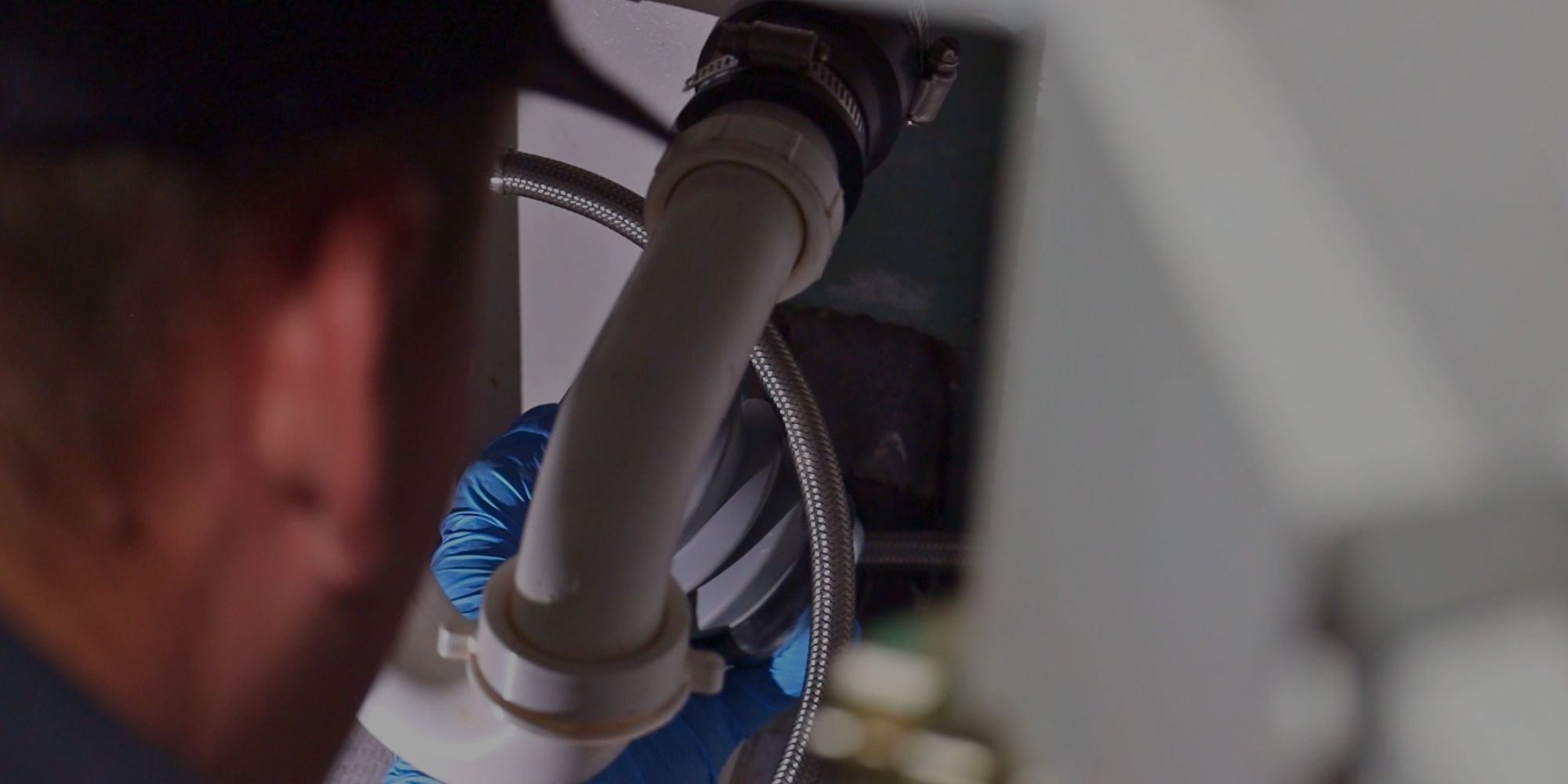 AIMVO Pest Control now offers commercial pest control