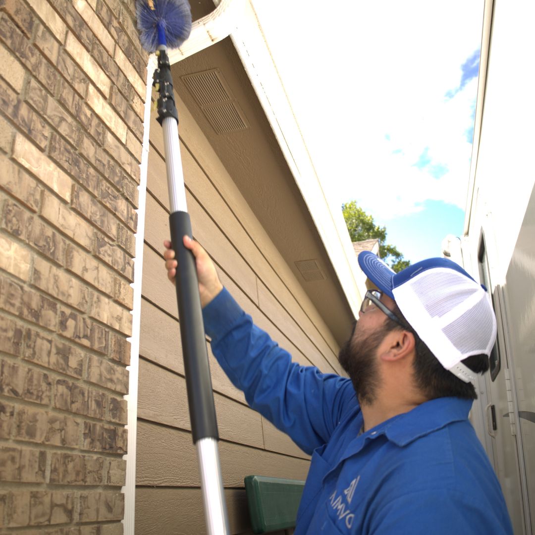 AIMVO technician de-webbing a home