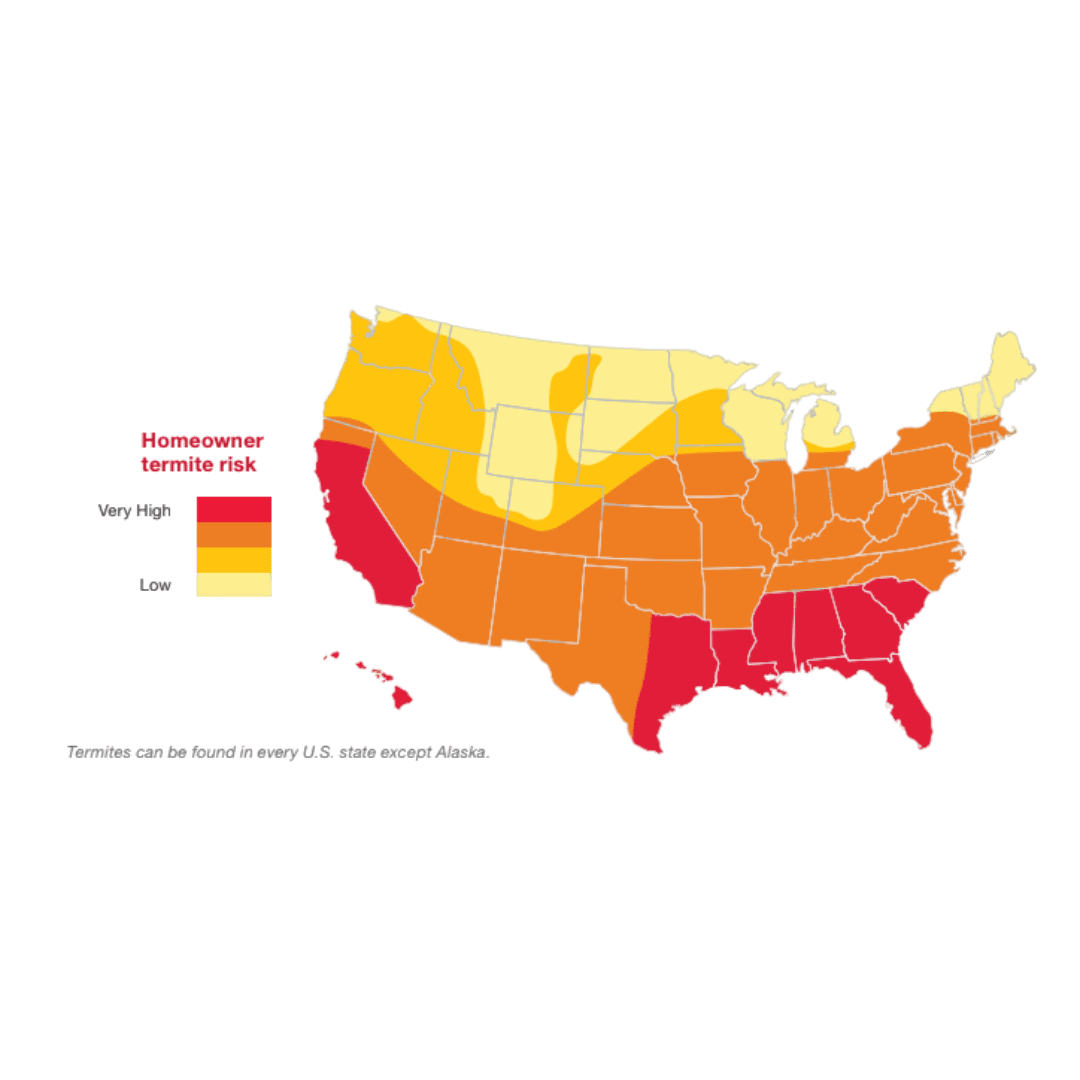 States termites are found in.