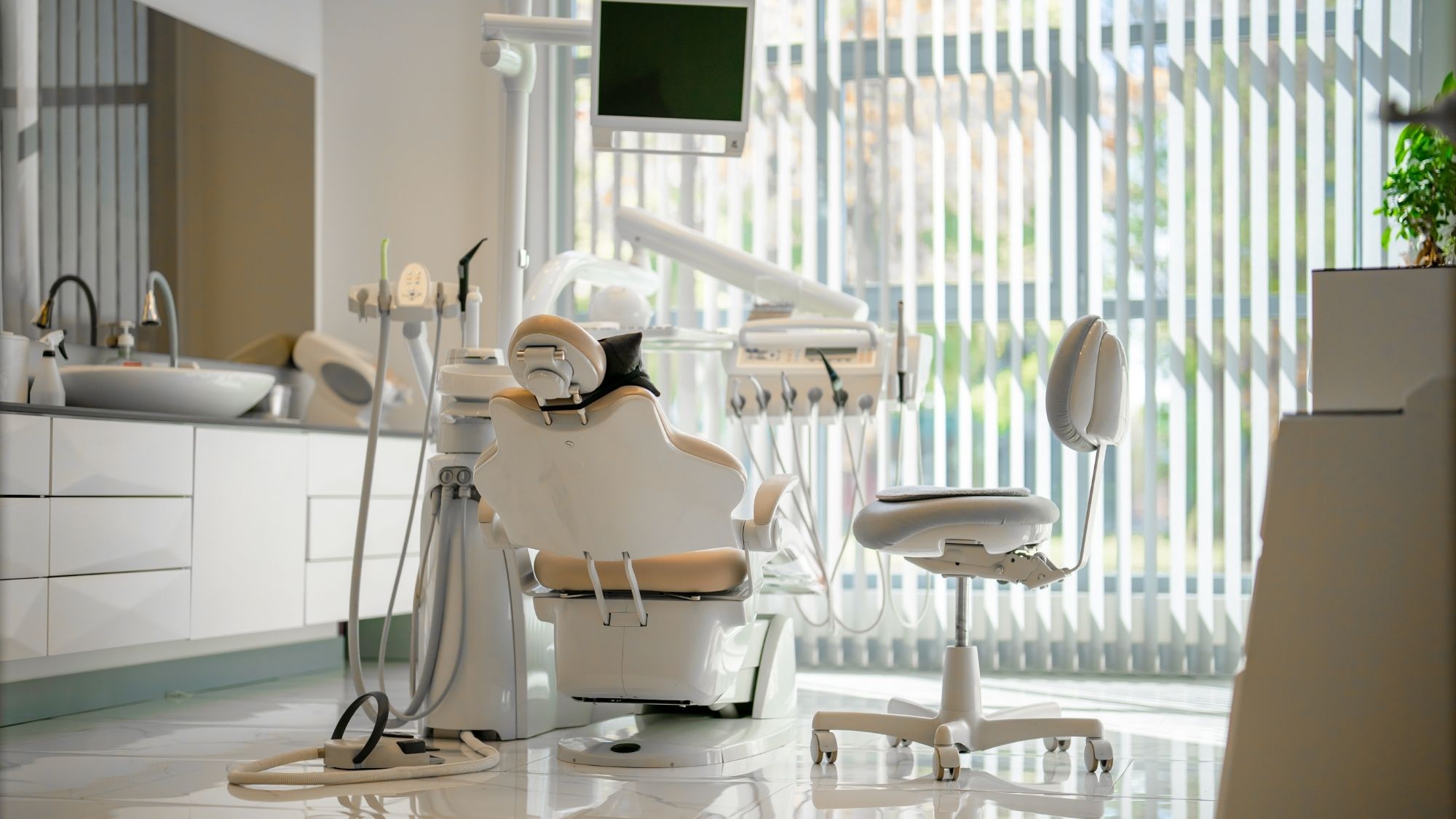 AIMVO Pest Control services pest control for dental offices