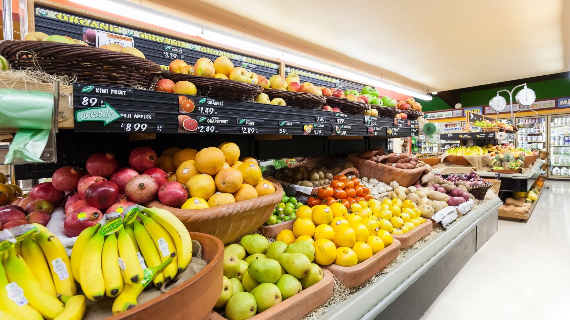 AIMVO Pest Control services pest control for grocery stores and supermarkets