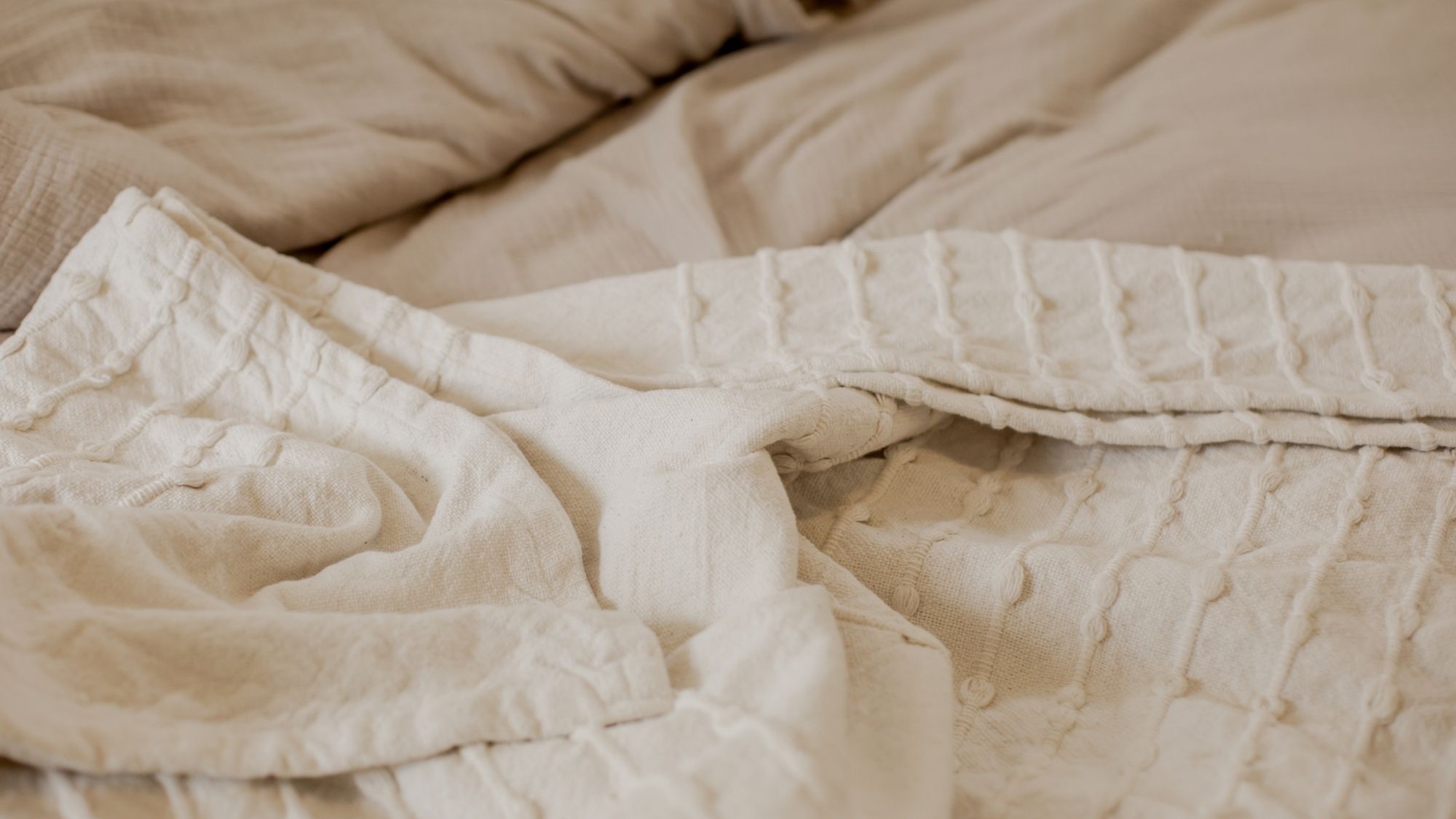 A bed bug infestation can be handled with AIMVO Pest Control