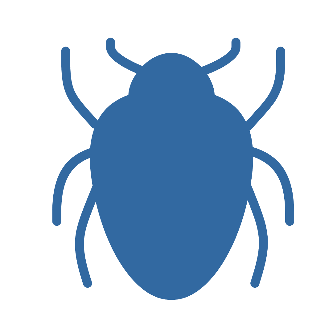 Bed Bug Icon