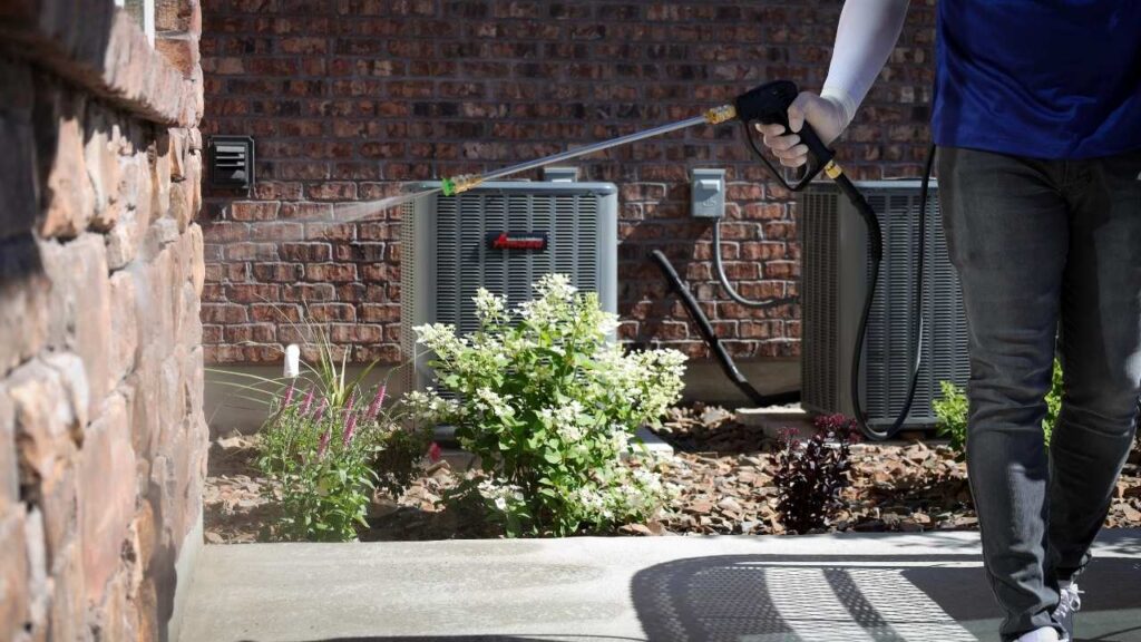 Pest Control Services