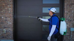 Pest Control Treatment at a Commercial Building