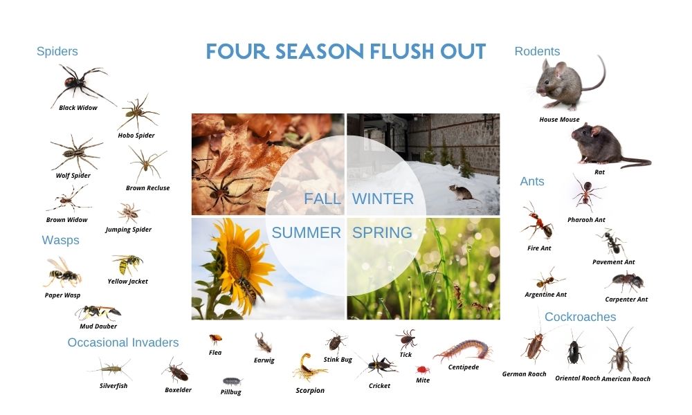 Year Around Pest Control